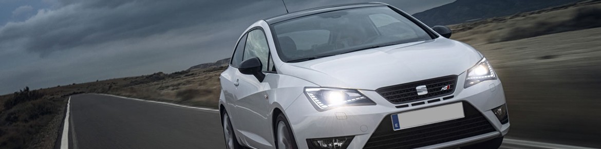 Centralina aggiuntiva Drakebox Seat Exeo 2.0 TDI CR 143 cv
